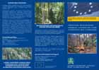LEAFLET